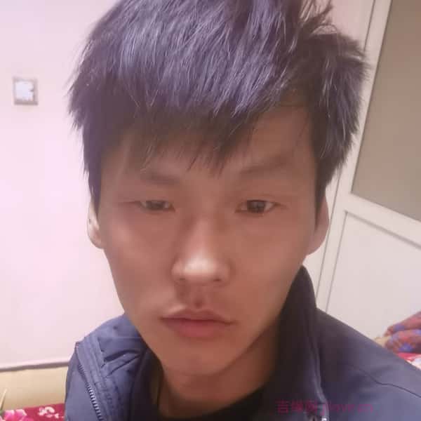 铜川征婚相亲网