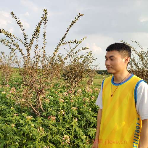 37岁岁广东单身帅哥 - 铜川吉缘网